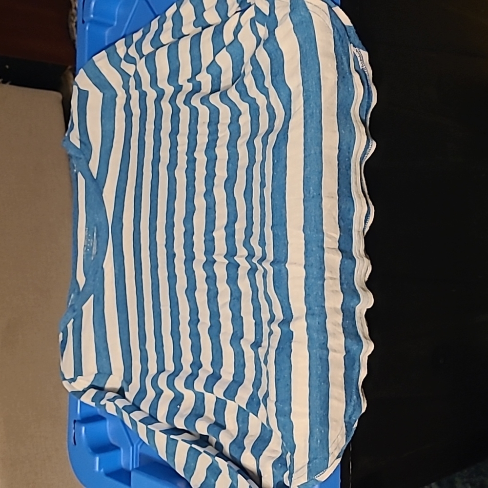 Lane Bryant blue and white stripes shirt